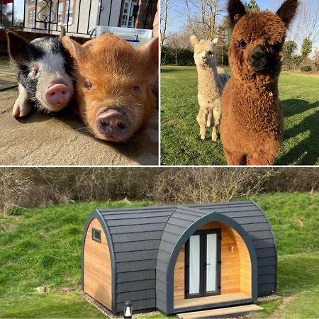 Hotel The Piggery Pod Sittingbourne Exteriér fotografie