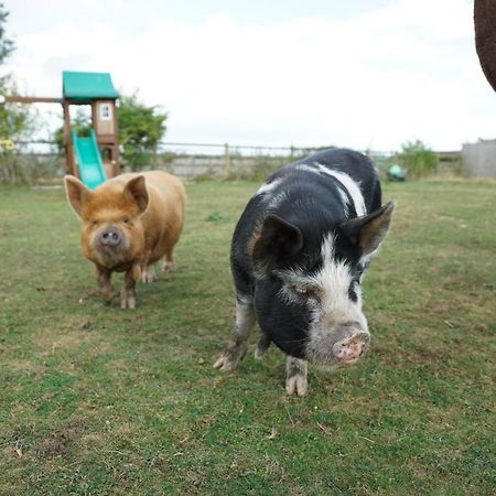 Hotel The Piggery Pod Sittingbourne Exteriér fotografie