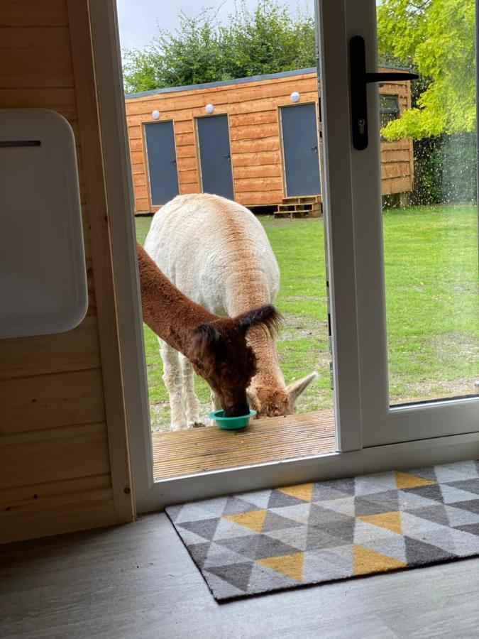 Hotel The Piggery Pod Sittingbourne Exteriér fotografie