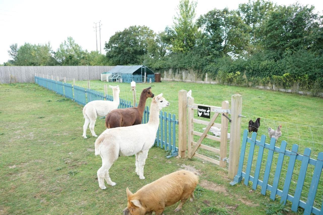 Hotel The Piggery Pod Sittingbourne Exteriér fotografie