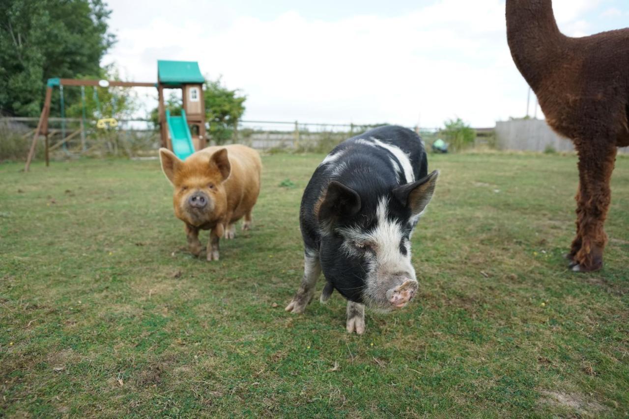Hotel The Piggery Pod Sittingbourne Exteriér fotografie